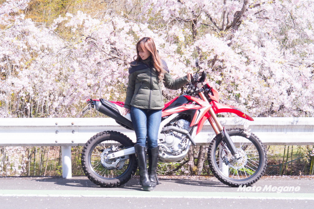 花街道(長留のしだれ桜)のしだれ桜は4月上旬が見ごろ