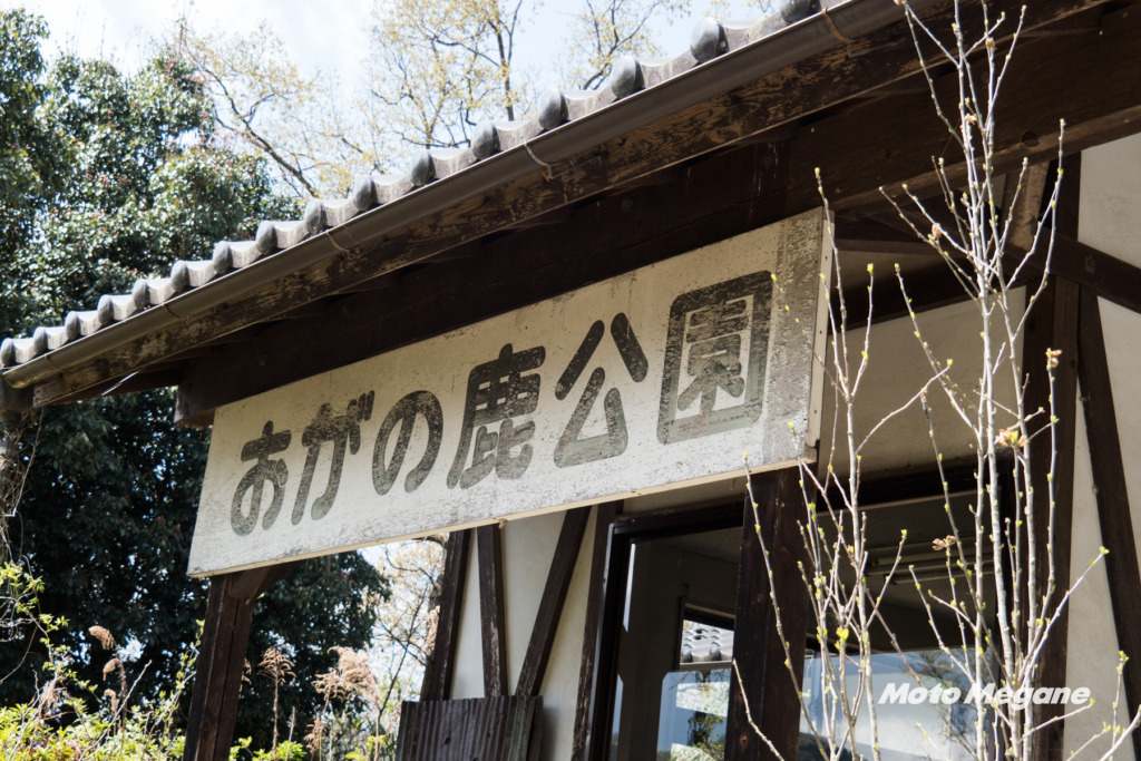 小鹿神社参拝の帰りには鹿に餌をあげていってください!