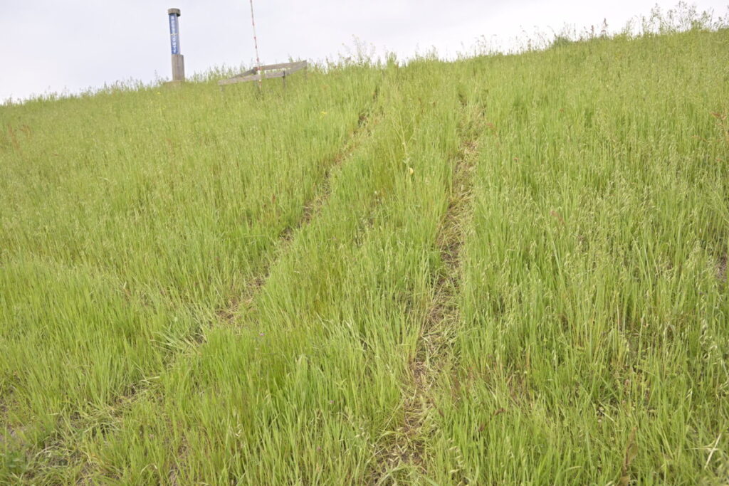 河川敷ってどんなトコ!?