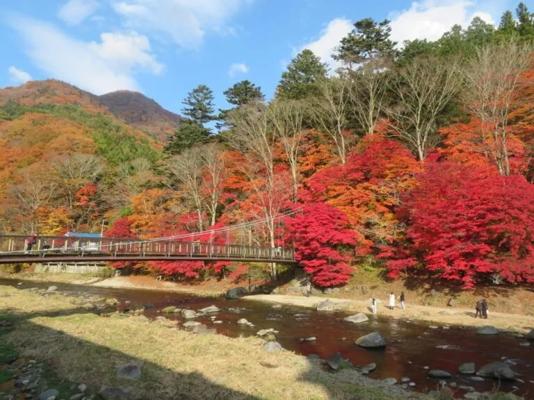 秋の紅葉風景。橋が架かる川沿いに、赤やオレンジに色づいた木々が並び、その奥には山々が連なっている。晴れた空の下、自然の美しさが際立っている。