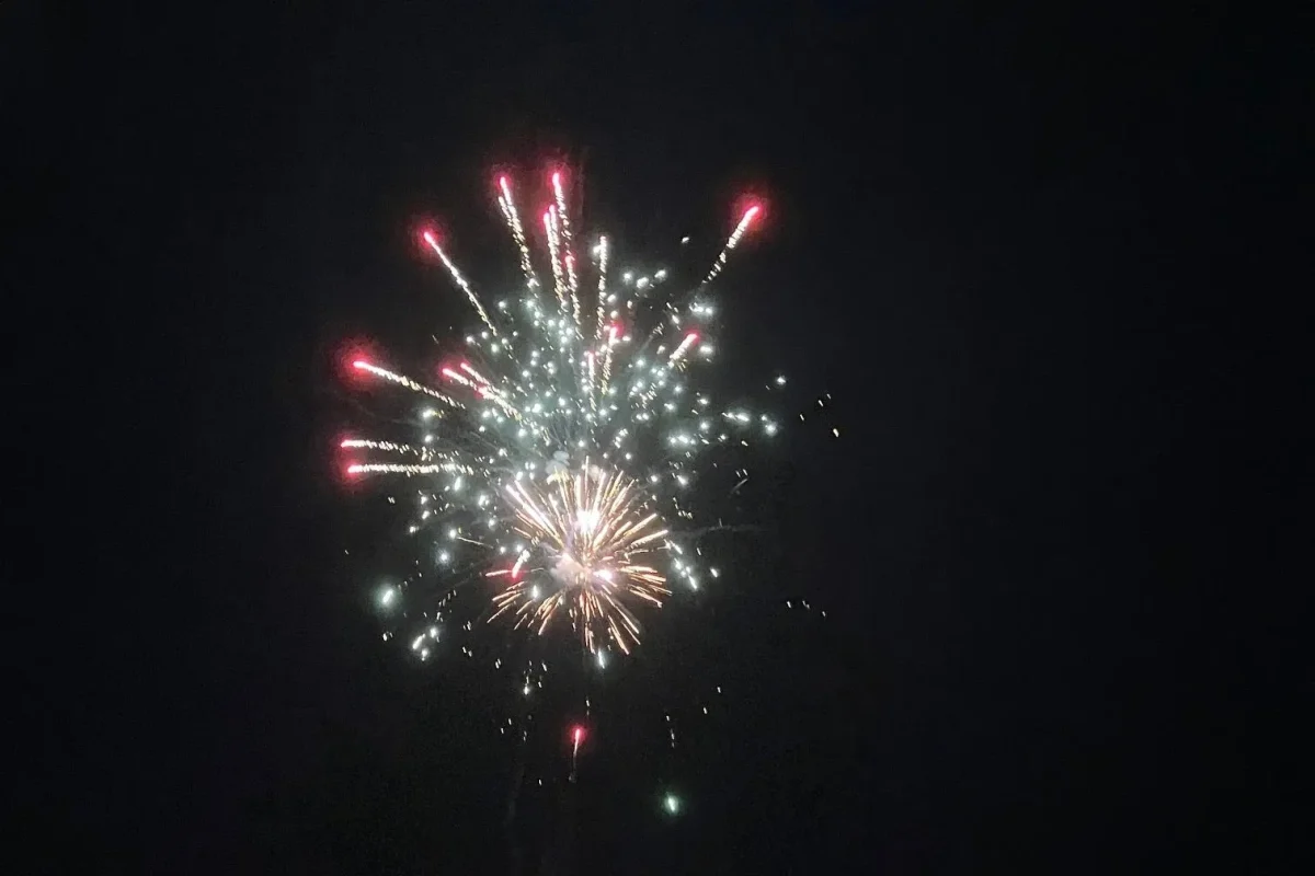 夜空に打ち上げられた花火の様子。