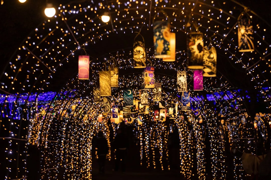 昨年の開催様子:光のトンネル