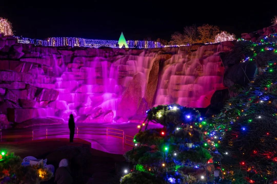 昨年の開催様子:滝とクリスマスツリー