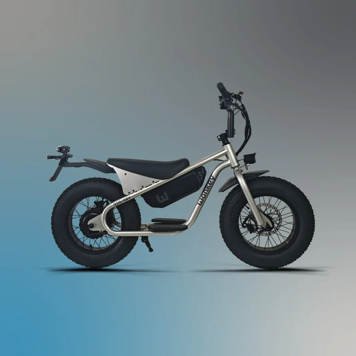 シルバーのフレームが特徴的なwonkey 48V